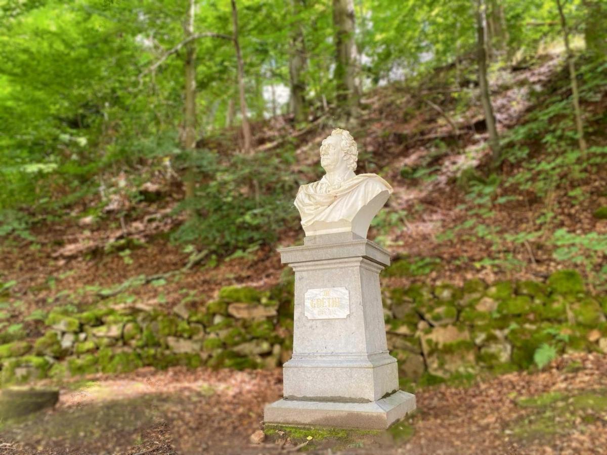 Apartma Marie 1880 カルロヴィ・ヴァリ エクステリア 写真